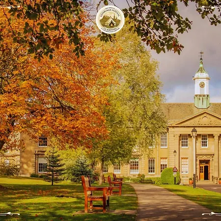 Festival Glamping By Social