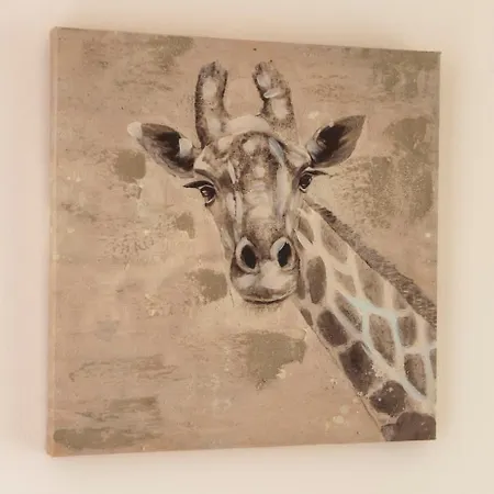 Bright & Modern Flat 公寓 *