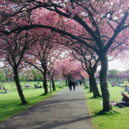 Апартаменты Cozy Flat Near Castle And With Free Private Parking Эдинбург