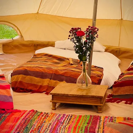 Campsite Festival Glamping By Social