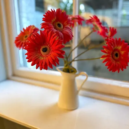 Apartamento The Garden Flat *