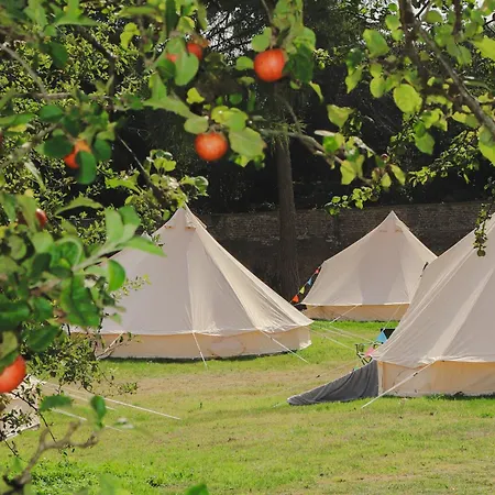 Festival Glamping At The Drum - Glamping Village *