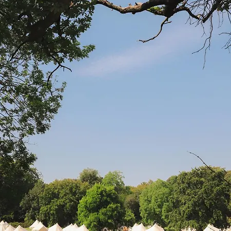 Festival Glamping At The Drum - Glamping Village Luxury tent