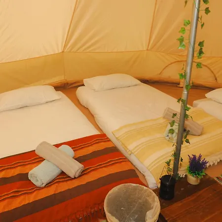 Luxury tent Festival Glamping At The Drum - Glamping Village *