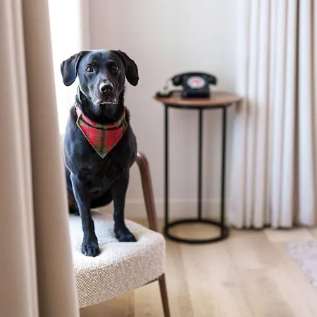 Virgin 5* Edinburgh