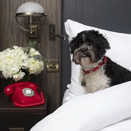 Kimpton Charlotte Square By Ihg 5*