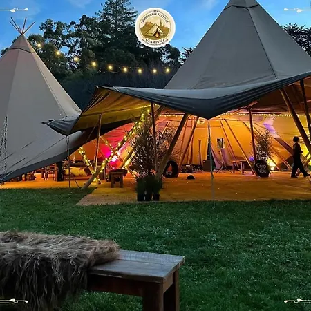Festival Glamping By Social אתר קמפינג אדינבורו