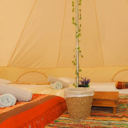 Luxury tent Festival Glamping At The Drum - Glamping Village *