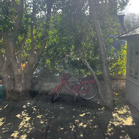 Small Private Guest In Lush Dean Area Of *