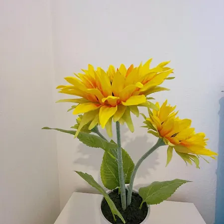 Διαμέρισμα 3 Bed Garden House Direct Connection To Airport N Train Station *