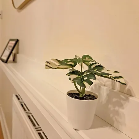 Διαμέρισμα Lovely Immaculate Flat By Meadows