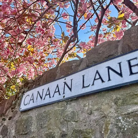 Peaceful Festival Retreat - Main Door Garden Flat * Edimburgo