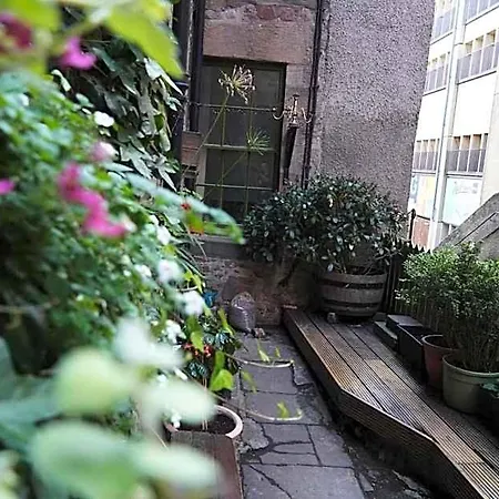 High Street - Over 18s Only, Backpackers Atmosphere (adults Only)