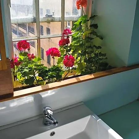 High Street - Over 18s Only, Backpackers Atmosphere (adults Only)