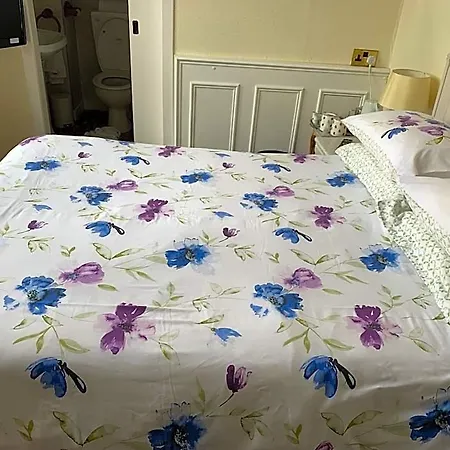 Dorstan House 게스트하우스 3*