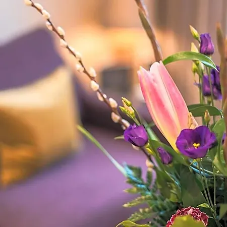 Aparthotel Braid By Mansley 4*
