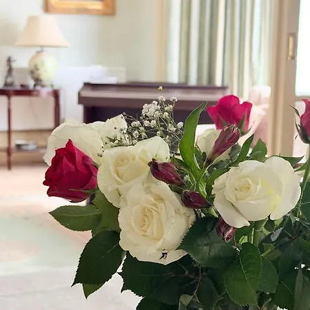 Gasthuis Georgian House Boutique