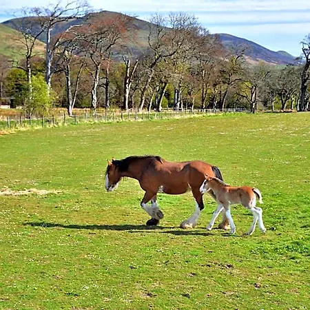Peggyslea Farm Hotel