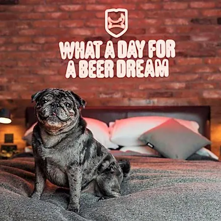 Hotel Brewdog Doghouse