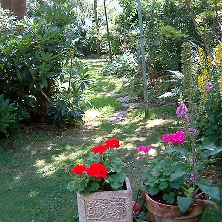 Terrace Hotel 2*