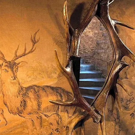 The Witchery 5*