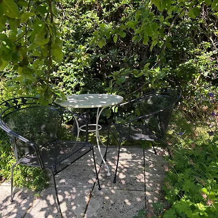 Peaceful With Garden & Space Séjour chez l'habitant