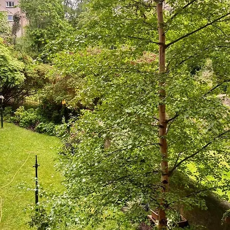 Morningside Two-bedroom Period Victorian Flat Apartment Edinburgh