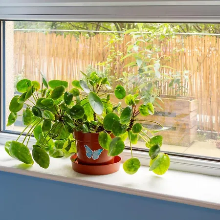 Apartamento Leafy Leith 2bdr Retreat With A Private Balcony Edimburgo