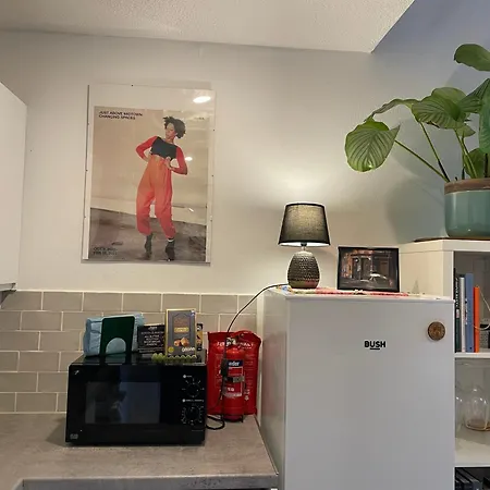 Apartment Quiet 1-bed Garden Near Leith & Walk To Centre