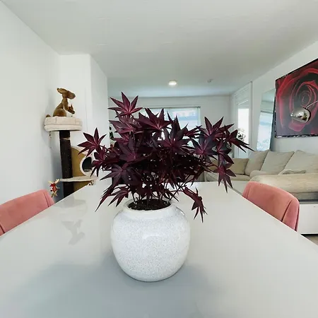 3 Bed Garden House Direct Connection To Airport N Train Station Apartment