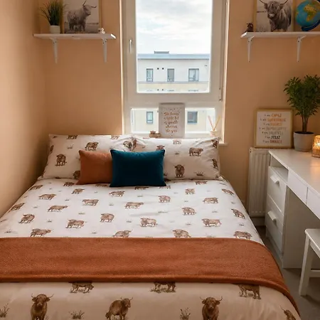 Daire Flat With Sea View