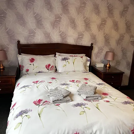 Acer Guest house
