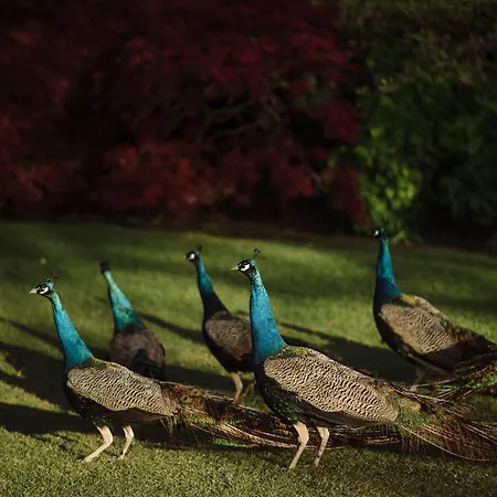 Prestonfield House Hotel