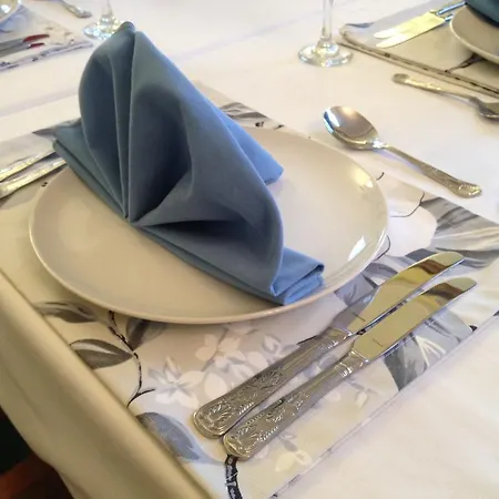 Twin Lions מלון 2*