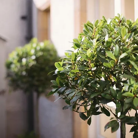 Vakantiehuis The Pavilion At Lamb's House *