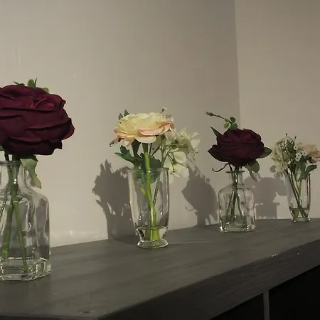 Lochrin Lägenhet Edinburg