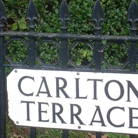Carlton Twelve
