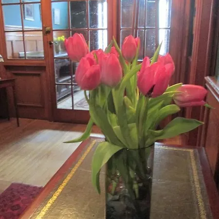 22 Chester Street 4*