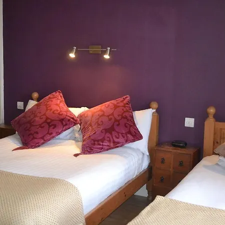 Dene Guest House, New Town 3*