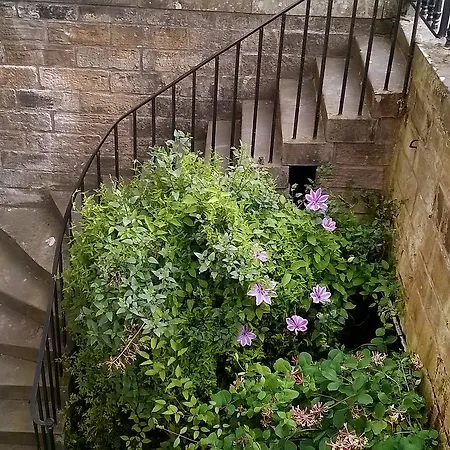 Appartement Garden