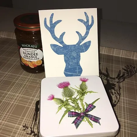 Daire The Abbeyhill Bonnie Thistle Edinburgh