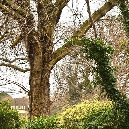 Edinburgh37 Edinburgh