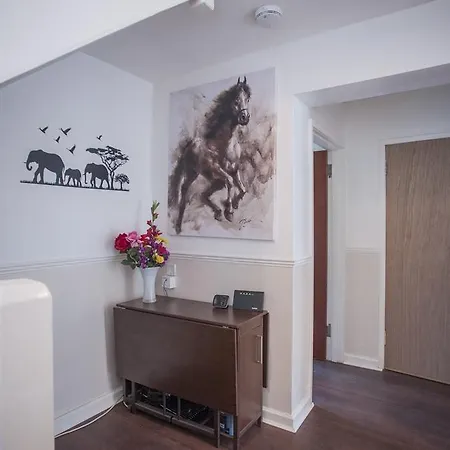 Montgomery House - Homestay Double Ubytování v soukromí