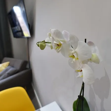 Meadowbank House Luxury 아파트 *
