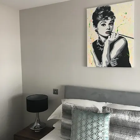 דירה Capital Retreats - Dewar Place Lane אדינבורו