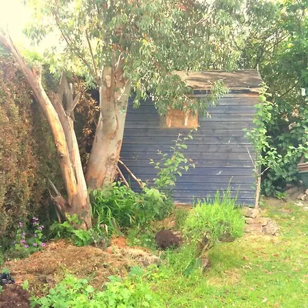 Almond House Bed & Breakfast