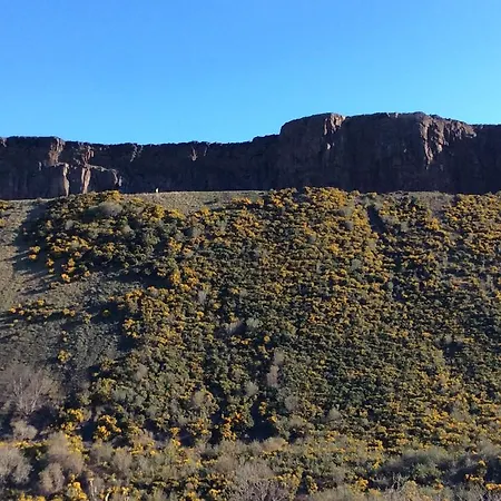 The Pleasance Apartment *