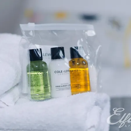 New Town - Elforma - Barony Apartment *