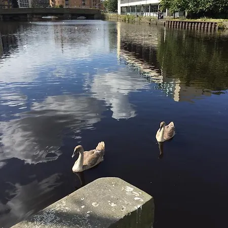 Bed & Breakfast Hermitage