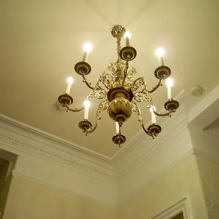 The Conifers 게스트하우스 4*